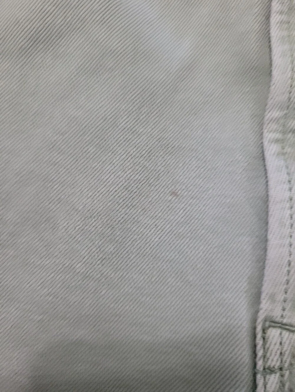 Everlane Organic Cotton Straightleg Seafoam Jeans 31 Tall Pastel Chic Streetwear